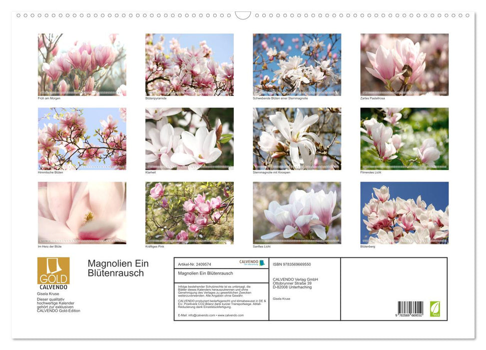 Magnolien Ein Blütenrausch (CALVENDO Wandkalender 2027)