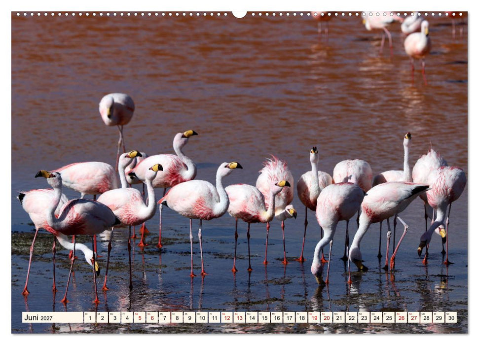 ATACAMA Wunder der Natur (CALVENDO Premium Wandkalender 2027)