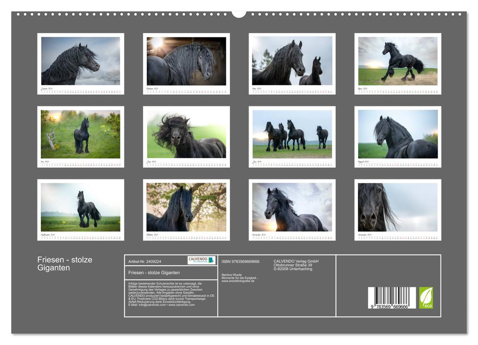 Friesen - stolze Giganten (CALVENDO Premium Wandkalender 2027)