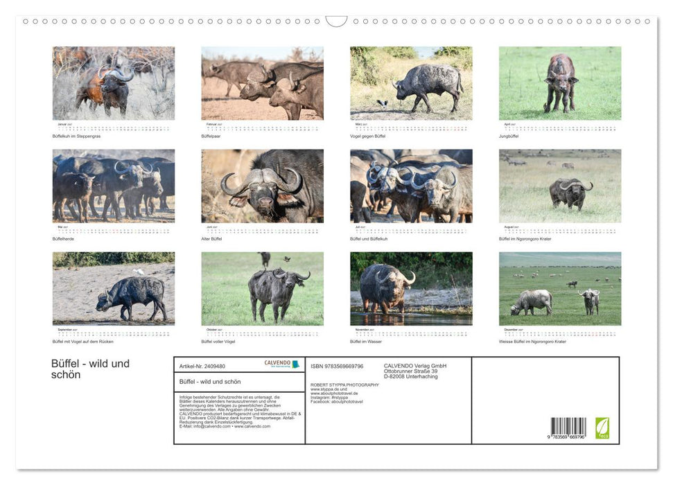 Büffel - wild und schön (CALVENDO Wandkalender 2027)