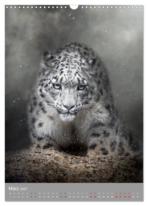 Portraits of Animals (CALVENDO Wandkalender 2027)