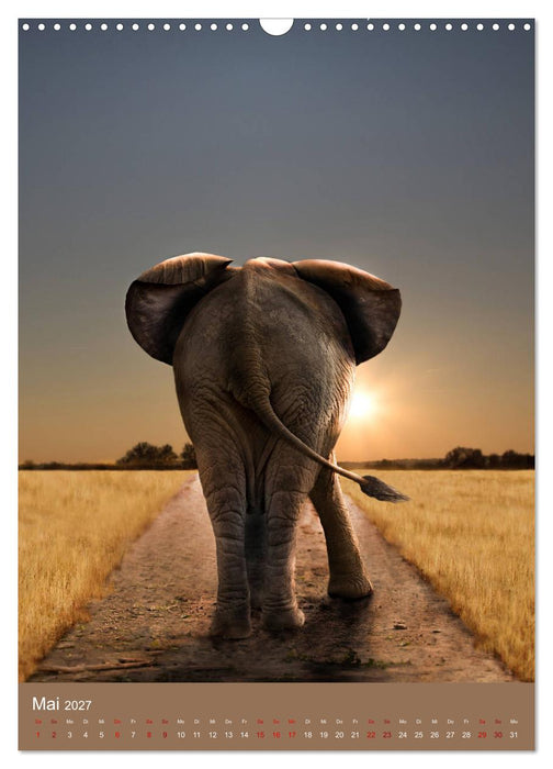 Portraits of Animals (CALVENDO Wandkalender 2027)