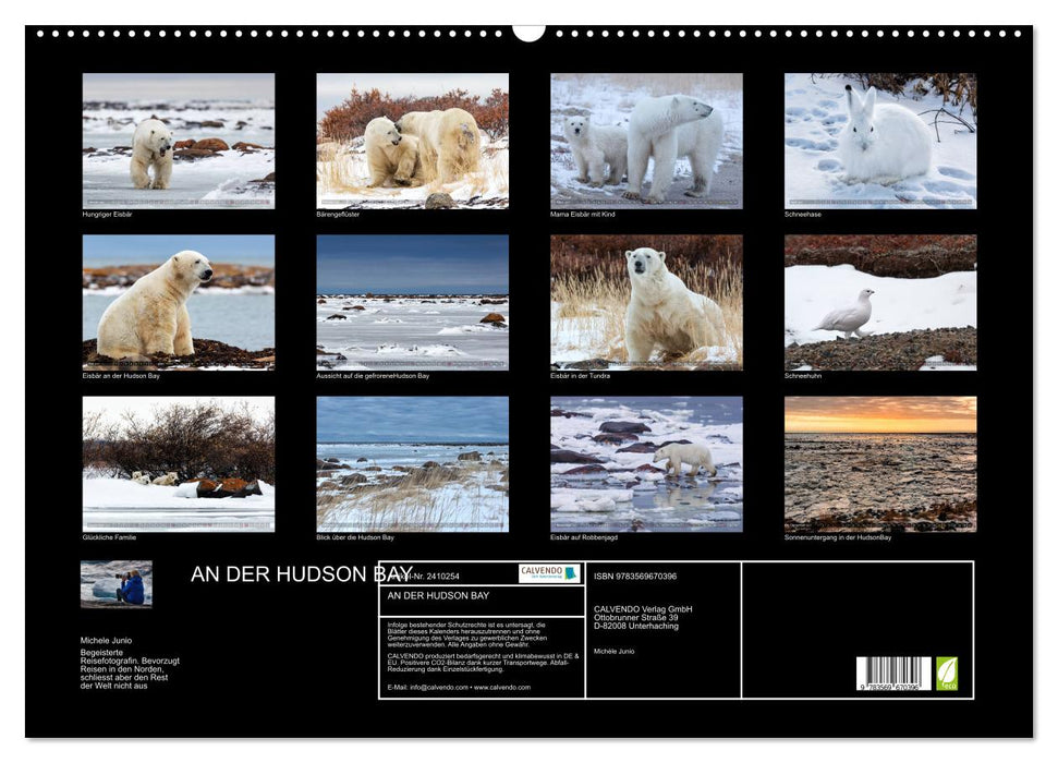 AN DER HUDSON BAY (CALVENDO Wandkalender 2027)