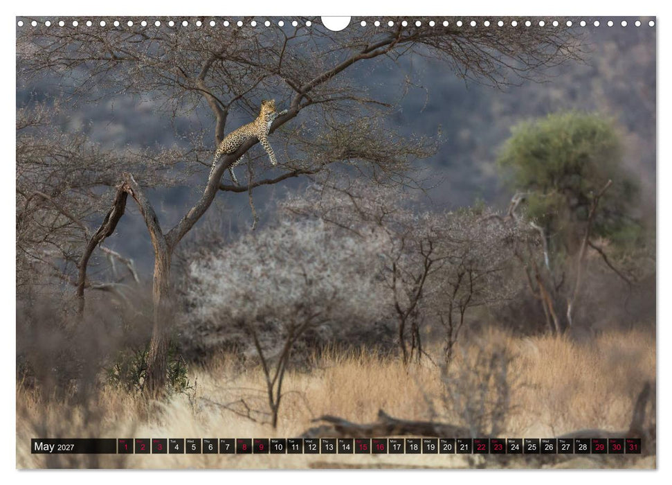 Leopards in the wild (CALVENDO Monthly Calendar 2027)