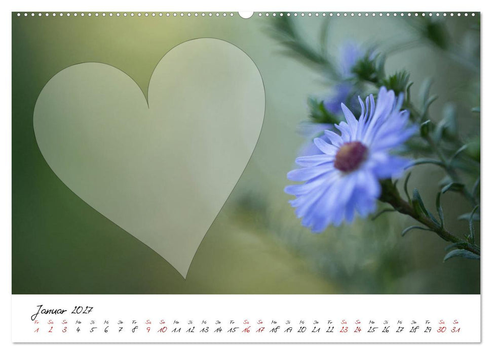 Blauer Blütentraum - Bastelkalender (CALVENDO Premium Wandkalender 2027)