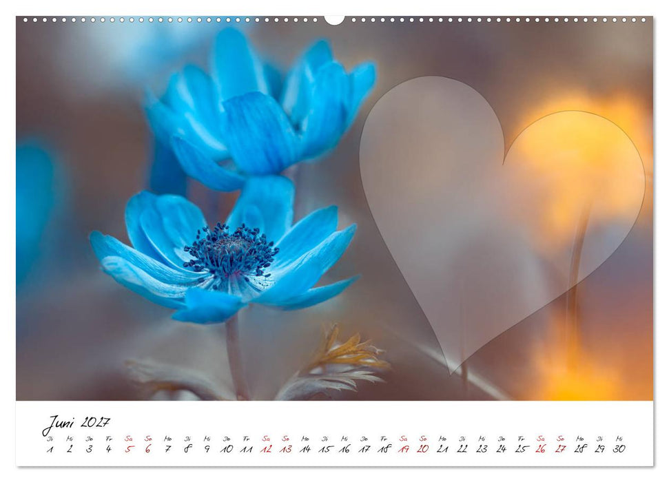 Blauer Blütentraum - Bastelkalender (CALVENDO Premium Wandkalender 2027)