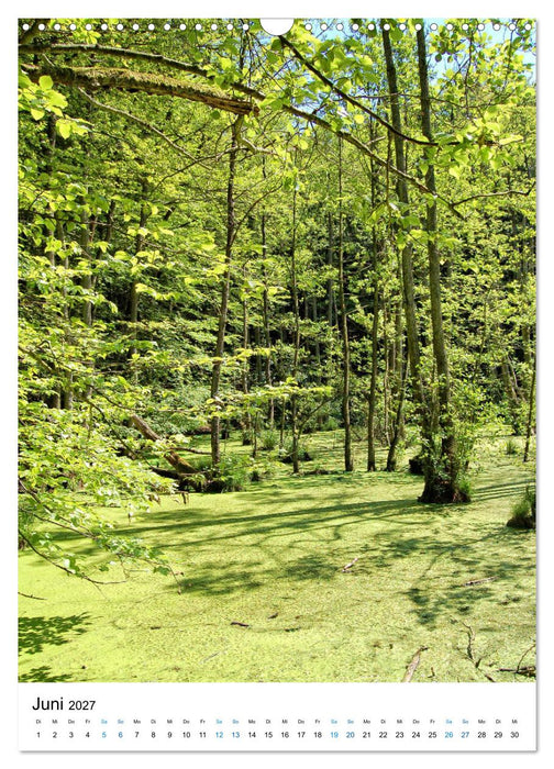 Insel Rügen - Kreide, Landschaft, Leuchttürme (CALVENDO Wandkalender 2027)