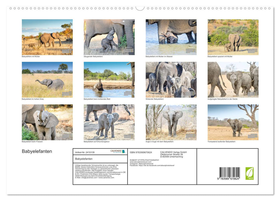 Babyelefanten (CALVENDO Premium Wandkalender 2027)