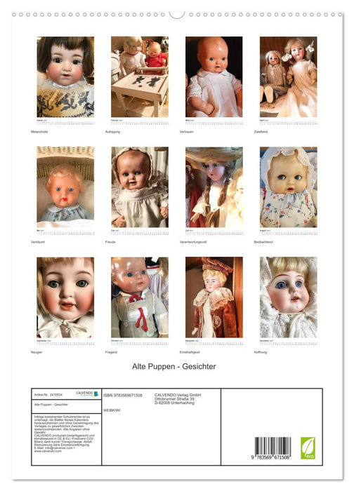 Alte Puppen - Gesichter (CALVENDO Premium Wandkalender 2027)