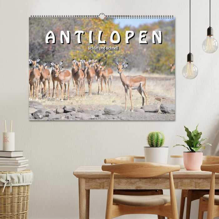 Antilopen, schön und schnell (CALVENDO Wandkalender 2027)