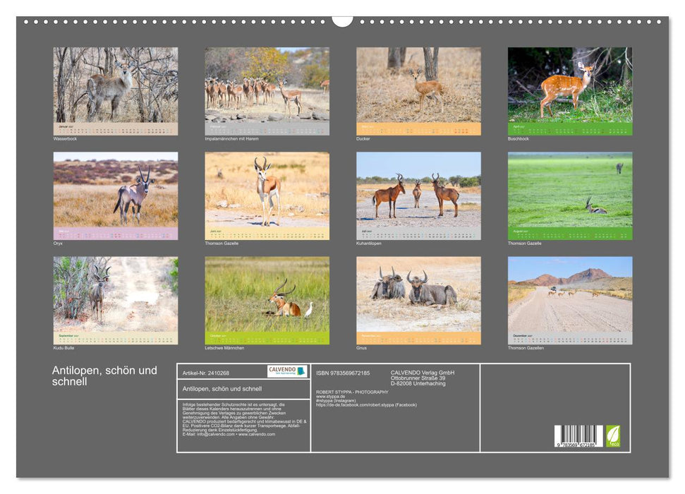 Antilopen, schön und schnell (CALVENDO Wandkalender 2027)