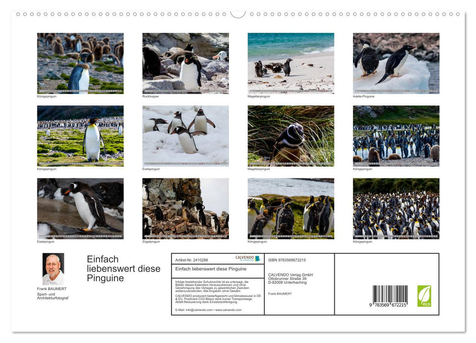Einfach liebenswert diese Pinguine (CALVENDO Premium Wandkalender 2027)