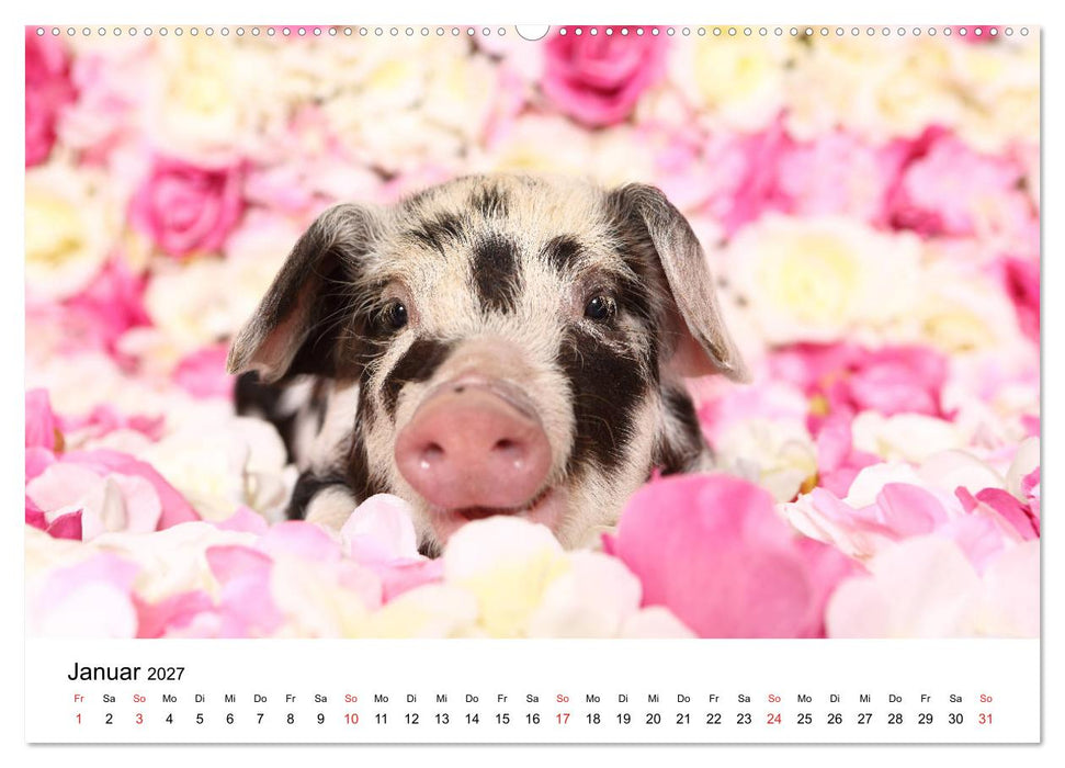 lach mit...just smile (CALVENDO Wandkalender 2027)