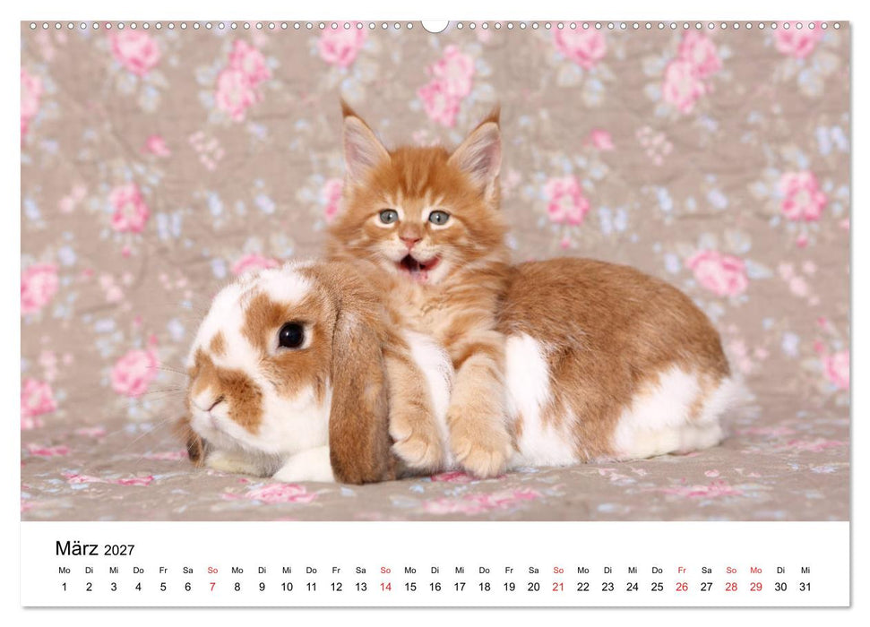 lach mit...just smile (CALVENDO Wandkalender 2027)