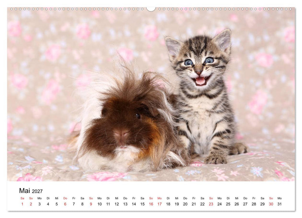 lach mit...just smile (CALVENDO Wandkalender 2027)