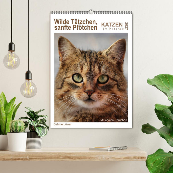 Wilde Tätzchen, sanfte Pfötchen (CALVENDO Wandkalender 2027)