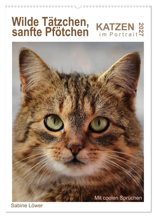 Wilde Tätzchen, sanfte Pfötchen (CALVENDO Wandkalender 2027)