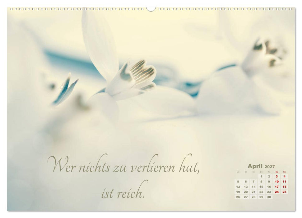 Chinesische Weisheiten (CALVENDO Wandkalender 2027)