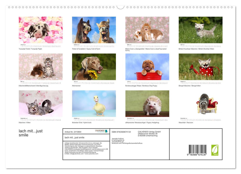 lach mit...just smile (CALVENDO Premium Wandkalender 2027)