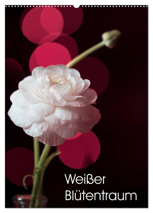 Weißer Blütentraum (CALVENDO Wandkalender 2027)