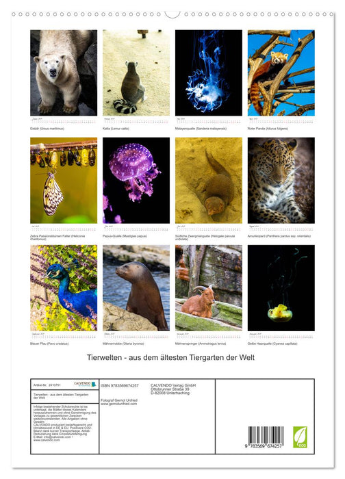 Tierwelten - aus dem ältesten Tiergarten der Welt (CALVENDO Premium Wandkalender 2027)