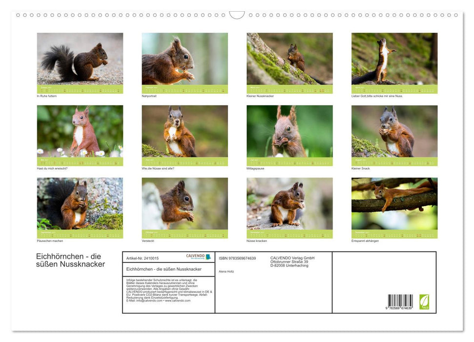 Eichhörnchen - die süßen Nussknacker (CALVENDO Wandkalender 2027)