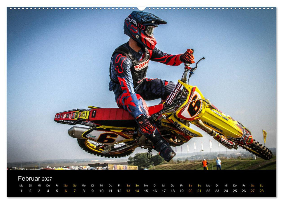 whip`s and scrub`s (CALVENDO Premium Wandkalender 2027)