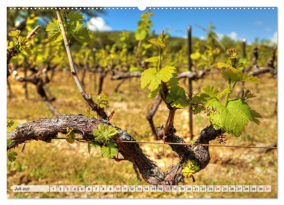 Provence - Magie des Lichtes (CALVENDO Premium Wandkalender 2027)