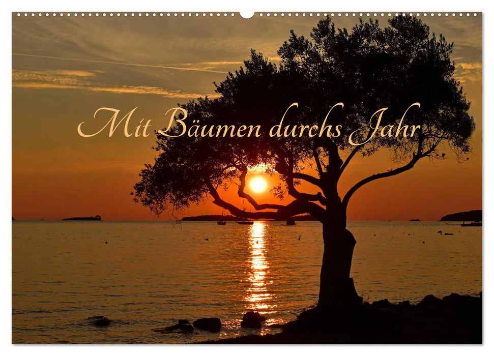 Mit Bäumen durchs Jahr (CALVENDO Wandkalender 2027)
