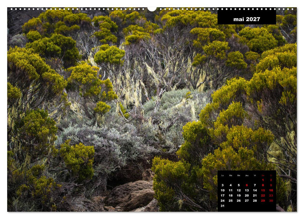 Paysages de l'île de La Réunion (CALVENDO Calendrier supérieur 2027)