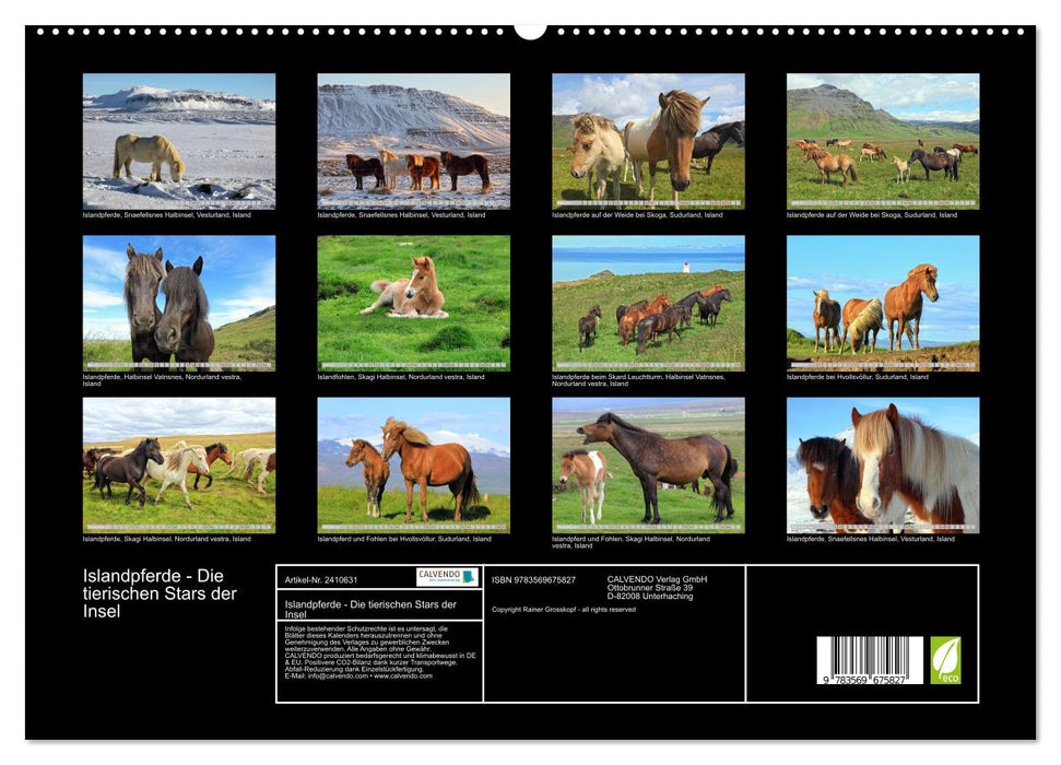 Islandpferde - Die tierischen Stars der Insel (CALVENDO Premium Wandkalender 2027)