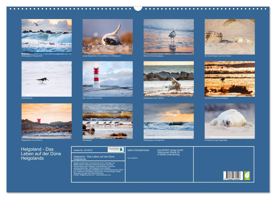 Helgoland - Das Leben auf der Düne Helgolands (CALVENDO Wandkalender 2027)