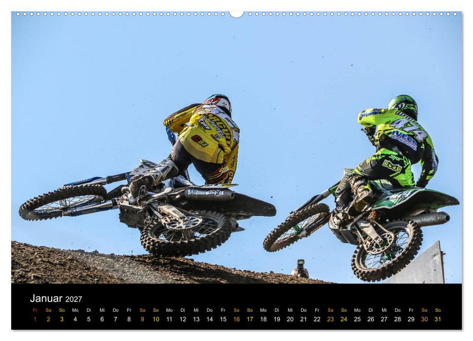 whip`s and scrub`s (CALVENDO Wandkalender 2027)
