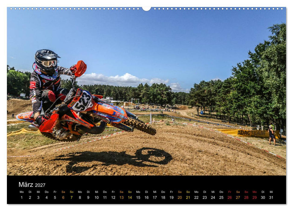 whip`s and scrub`s (CALVENDO Wandkalender 2027)