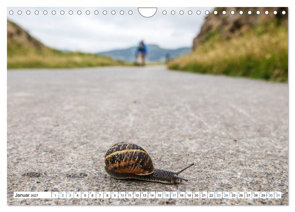 Der nördliche Jakobsweg (CALVENDO Wandkalender 2027)