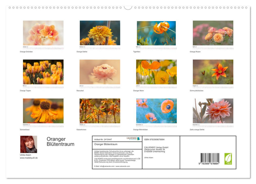 Oranger Blütentraum (CALVENDO Premium Wandkalender 2027)