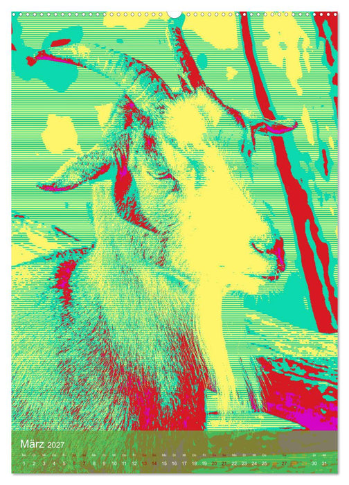 Phantastische Welt der Tiere (CALVENDO Wandkalender 2027)