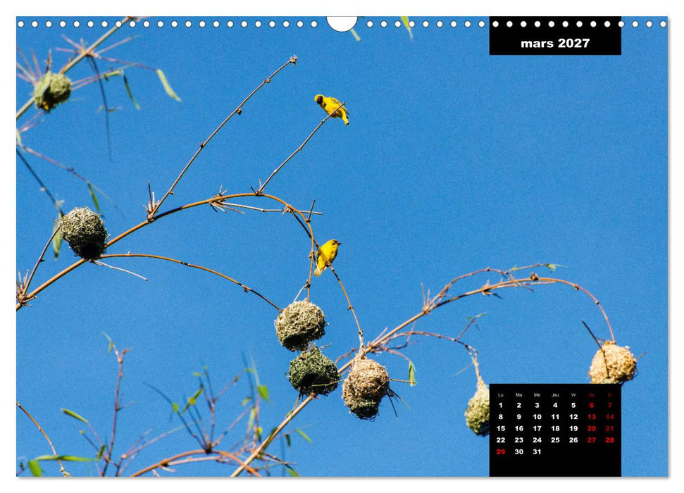 Paysages de l'île de La Réunion (CALVENDO Calendrier mensuel 2027)
