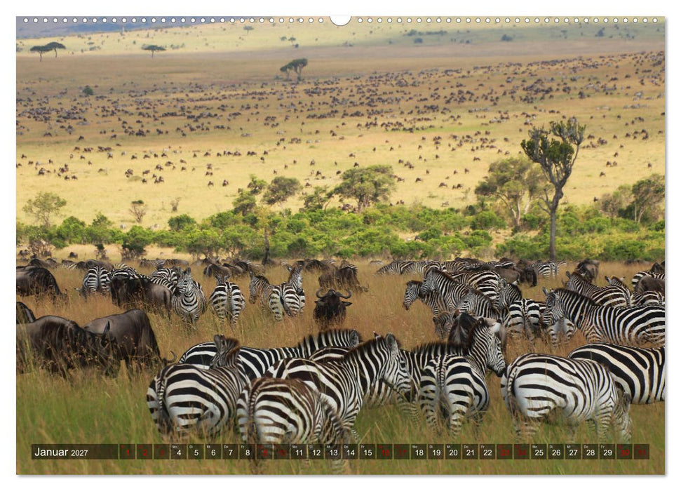 Afrika - Zauber der Wildnis (CALVENDO Premium Wandkalender 2027)