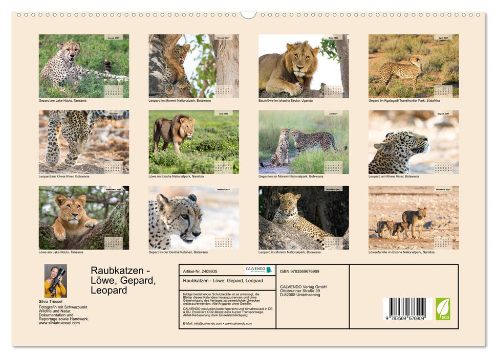 Raubkatzen - Löwe, Gepard, Leopard (CALVENDO Premium Wandkalender 2027)