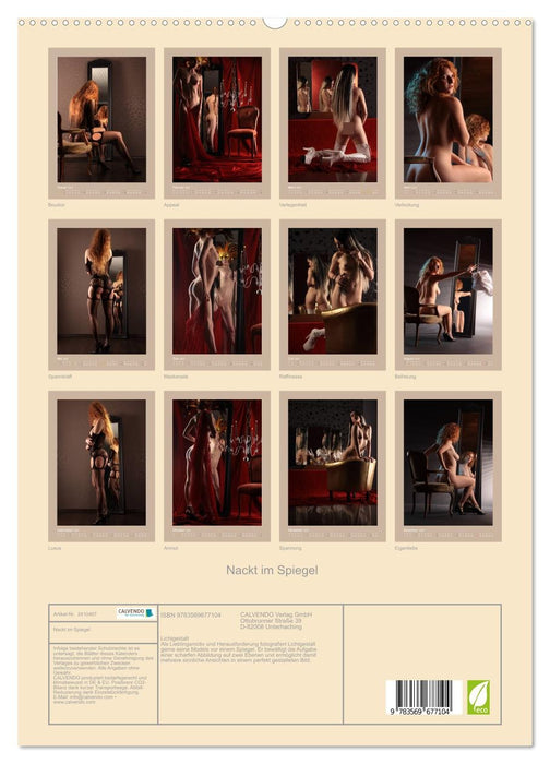 Nackt im Spiegel (CALVENDO Premium Wandkalender 2027)