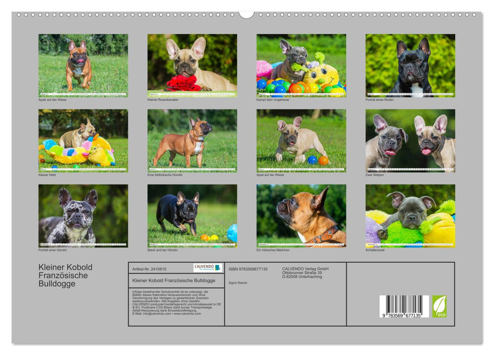 Kleiner Kobold Französische Bulldogge (CALVENDO Premium Wandkalender 2027)