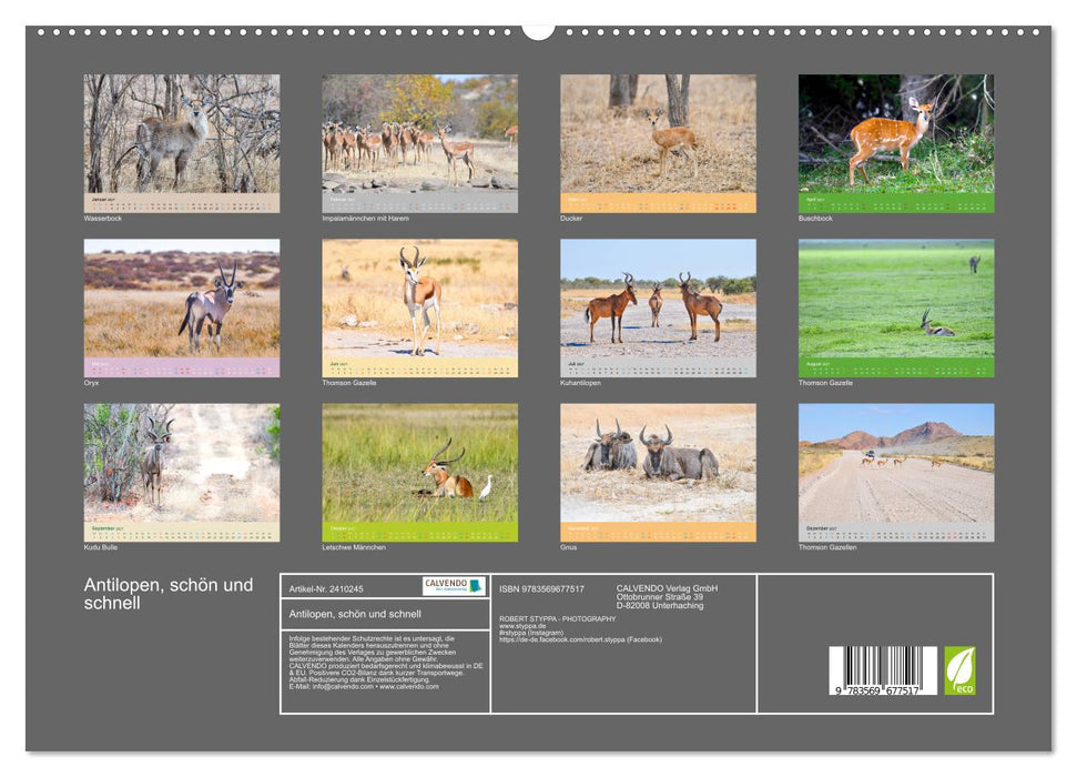 Antilopen, schön und schnell (CALVENDO Premium Wandkalender 2027)