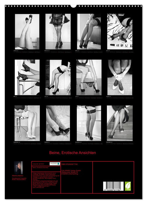 Beine, Erotische Ansichten (CALVENDO Premium Wandkalender 2027)