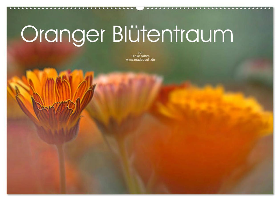 Oranger Blütentraum (CALVENDO Wandkalender 2027)