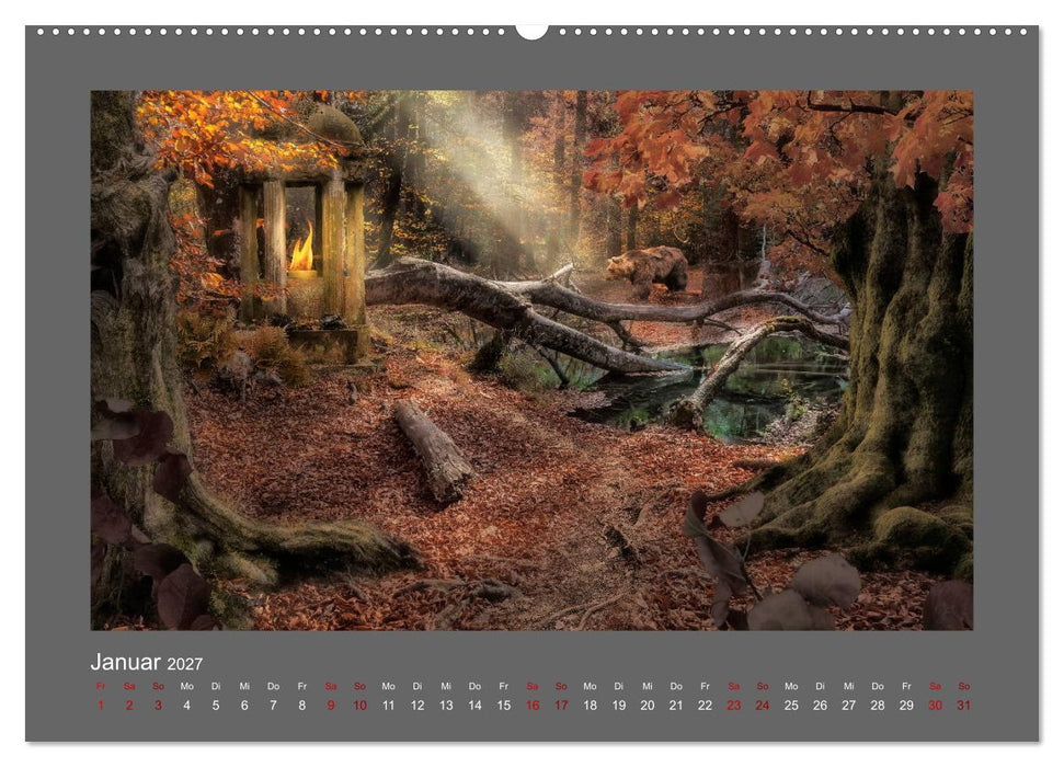 Waldgeheimnisse (CALVENDO Wandkalender 2027)