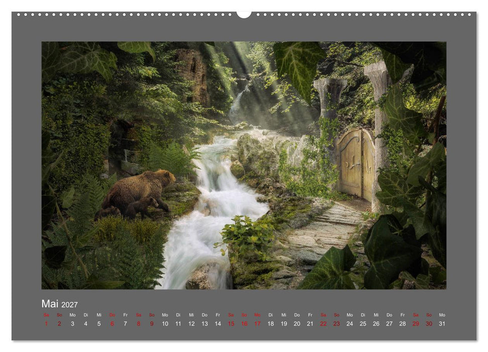 Waldgeheimnisse (CALVENDO Wandkalender 2027)