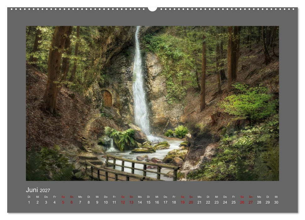 Waldgeheimnisse (CALVENDO Wandkalender 2027)