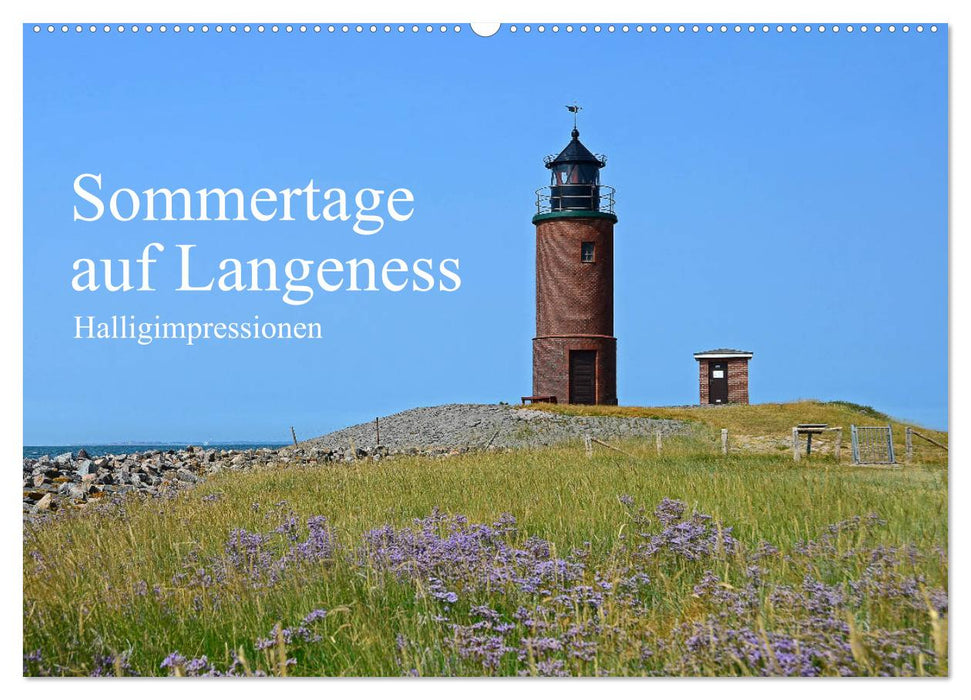 Sommertage auf Langeness (CALVENDO Wandkalender 2027)