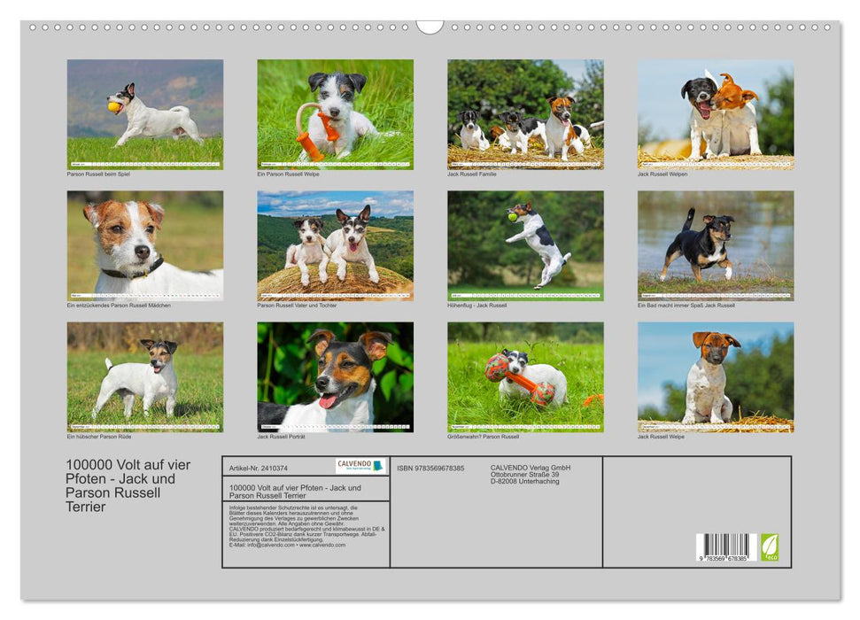 100000 Volt auf vier Pfoten - Jack und Parson Russell Terrier (CALVENDO Wandkalender 2027)